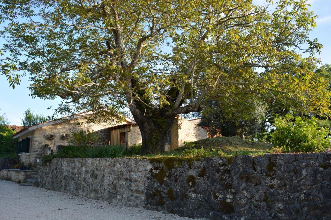 Villa Casa Da Pedra Ansião Exterior foto