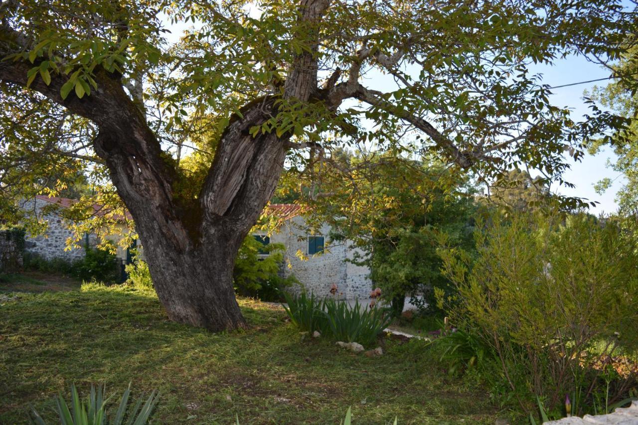 Villa Casa Da Pedra Ansião Exterior foto